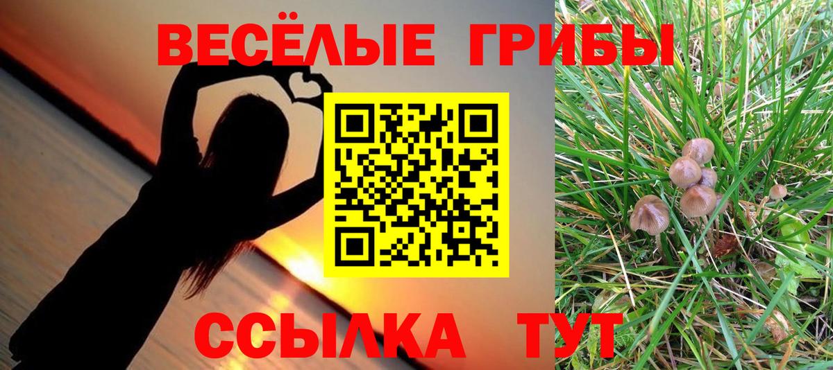 Алексеевка  Галлюциногенные грибы мицелий  где купить наркотик  Галлюциногенные грибы мухоморы  Вход с VPN 